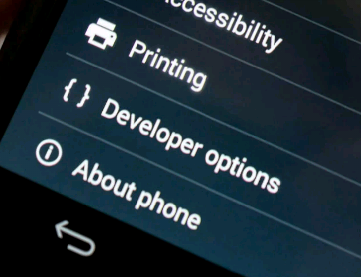 Developer option android